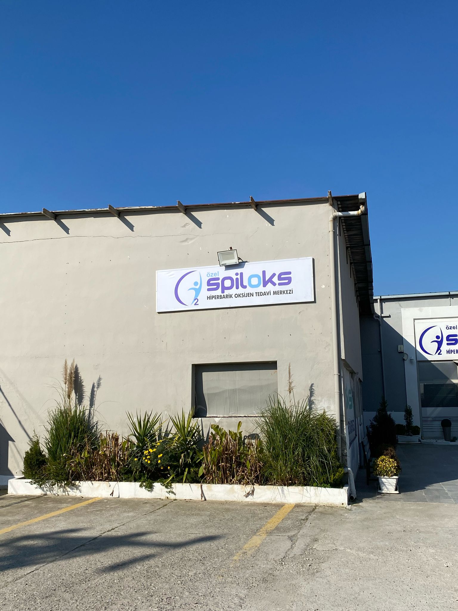 SPİLOKS GERME BRANDA